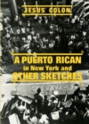 Image for Puerto Rican in New York and Other Sketches