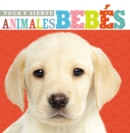 Image for Toca y siente animales bebes