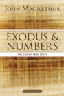 Image for Exodus and numbers  : the exodus from Egypt
