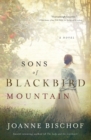 Image for Sons of Blackbird Mountain  : a novel