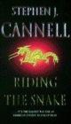 Image for Riding the snake  : a novel