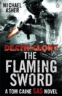 Image for The flaming sword