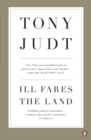 Image for Ill fares the land  : a treatise on our present discontents