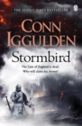 Image for Stormbird : book one