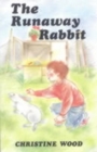 Image for The Runaway Rabbit