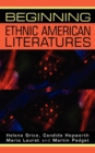 Image for Beginning Ethnic American Literatures
