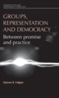 Image for Groups, Representation and Democracy