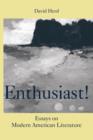 Image for Enthusiast!  : essays on modern American literature