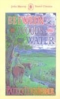 Image for Between the woods and the water  : on foot to Constantinople from the Hook of Holland