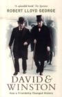 Image for David &amp; Winston  : how a friendship changed history