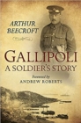 Image for Gallipoli  : a soldier&#39;s story