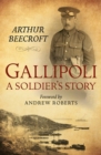 Image for Gallipoli: a soldier&#39;s story
