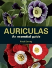Image for Auriculas  : as essential guide