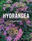 Image for The hydrangea  : a reappraisal