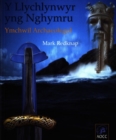 Image for Llychlynwyr yng Nghymru, Y - Ymchwil Archaeolegol