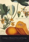 Image for Catalogue of Botanical Illustrations at the National Museum &amp; Galleries of Wales