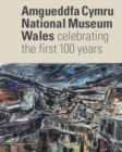 Image for Amgueddfa Cymru/National Museum Wales - Celebrating the First 100 Years