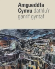 Image for Amgueddfa Cymru - Dathlu&#39;r Ganrif Gyntaf