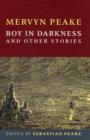 Image for Boy in darkness and other stories