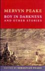 Image for Boy in darkness and other stories