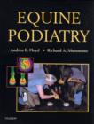 Image for Equine podiatry