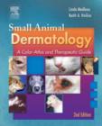 Image for Small Animal Dermatology