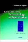 Image for Canine and feline endocrinol reproduction