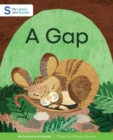 Image for A Gap