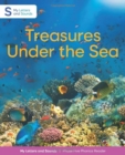 Image for Treasures Under the Sea