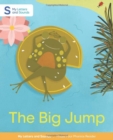 Image for The Big Jump
