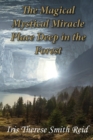 Image for The magical mystical miracle place deep in the forest