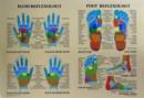 Image for HAND AND FOOT REFLEXOLOGY : A UNIQUE SEL