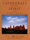 Image for Cathedrals of the spirit  : the message of sacred places