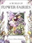 Image for A world of flower fairies  : poems and pictures