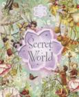 Image for Flower Fairies Friends secret world