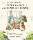 Image for The tale of Peter Rabbit and Benjamin Bunny  : a pop-up adventure