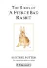 Image for The story of a fierce bad rabbit