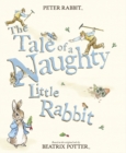 Image for The Tale of a Naughty Little Rabbit
