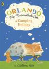 Image for Orlando the marmalade cat  : a camping holiday
