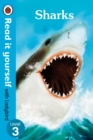 Image for Sharks - Read it yourself with Ladybird: Level 3 (non-fiction)