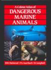 Image for A Colour Atlas of Dangerous Marine Animals