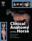 Image for Clinical anatomy of the horse