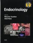 Image for Specialist training in endocrinology