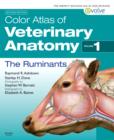 Image for Color atlas of veterinary anatomyVol. 1,: Ruminants : v. 1 : The Ruminants