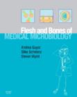 Image for Flesh and bones of medical microbiology