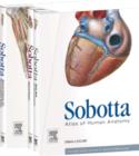 Image for Sobotta Atlas of Human Anatomy, Package, 15th ed., English/Latin : mMusculoskeletal system, internal organs, head, neck, neuroanatomy - with online access to e-sobotta.com