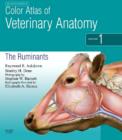 Image for Color atlas of veterinary anatomy