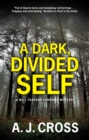 Image for A Dark, Divided Self