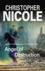 Image for Angel of destruction