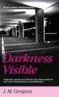 Image for Darkness visible